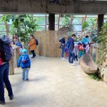 phoca_thumb_m_vlet km 18 Fotogalerie